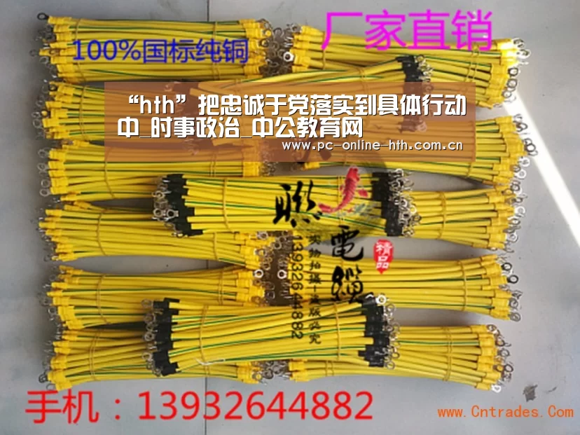 “hth”把忠诚于党落实到具体行动中_时事政治_中公教育网(图2) hth平台